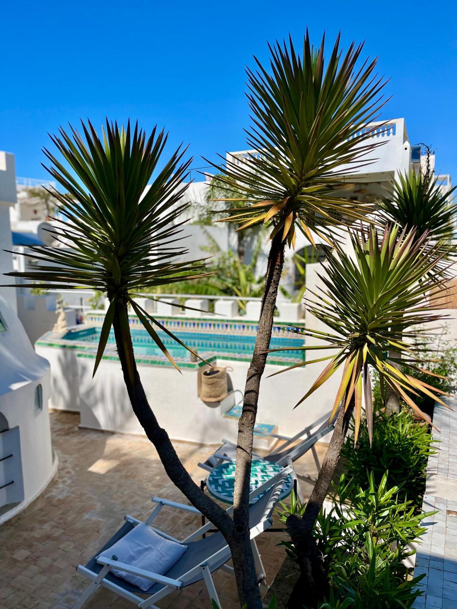 Riad Oasis D'Asilah Eksteriør bilde